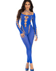 Reckless Intentions Footless Sheer Bodystocking