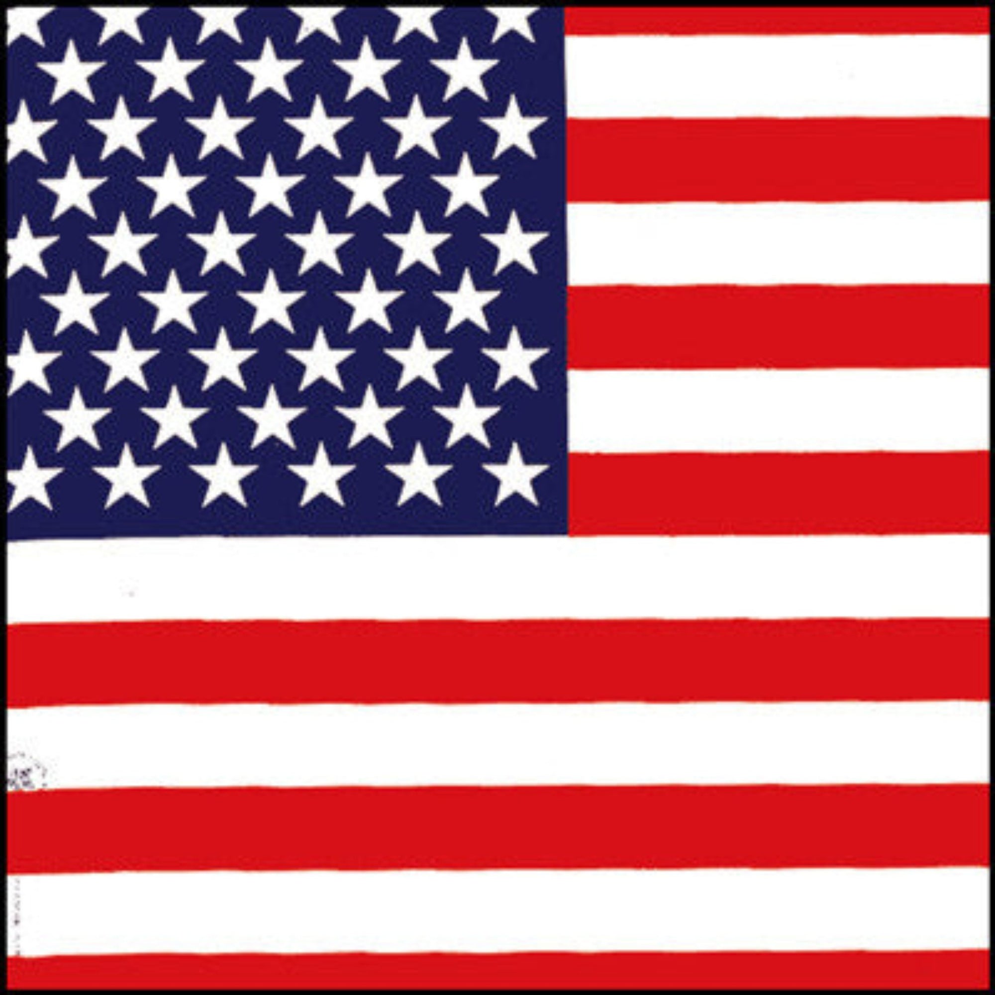 Country Flag & Bandanna - USA