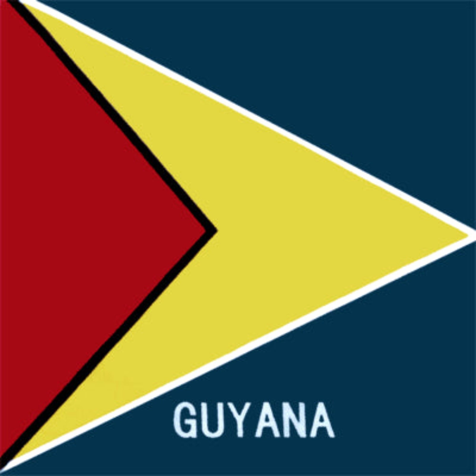 Country Flag & Bandanna - Guyana