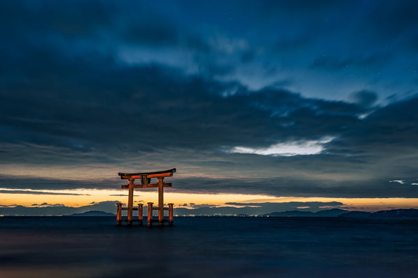 Soca in Japan: Bridging Cultures through Rhythmic Bliss