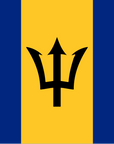 Country Flag Bandanas